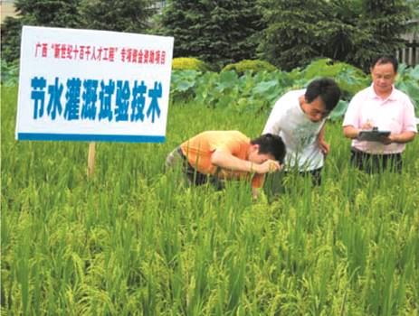 澳门六合彩资料大全