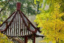 澳门六合彩资料大全